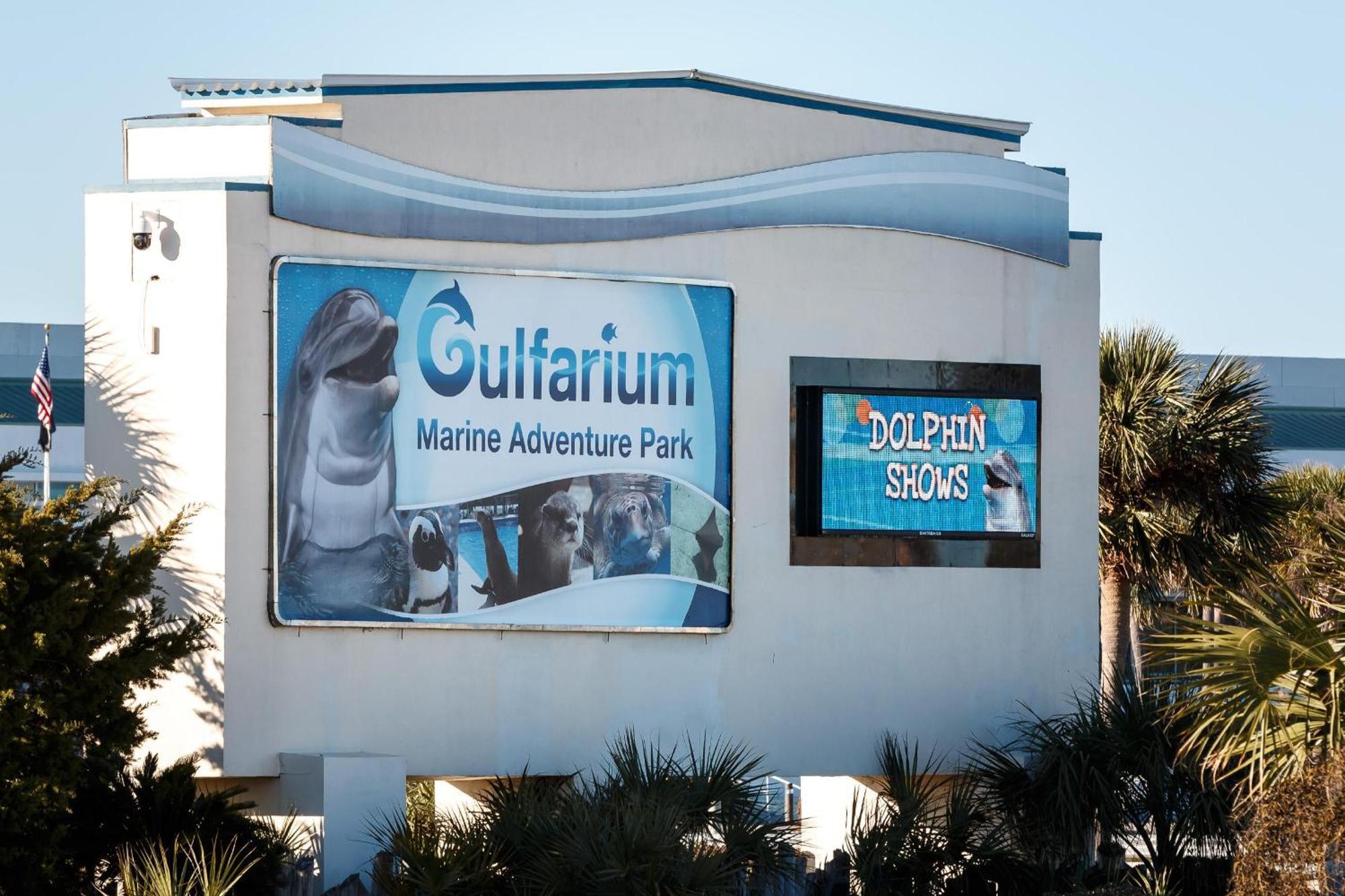 Nautilus Unit 2407 Villa Fort Walton Beach Eksteriør billede
